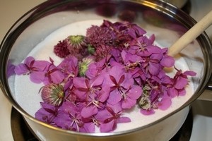 Соцветия Иван-Чая и клевера в квасцах