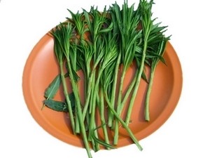 Побеги кипрея вкусны в свежем, жареном и вареном виде. Побеги кипрея вкусны в свежем, жареном и вареном виде.